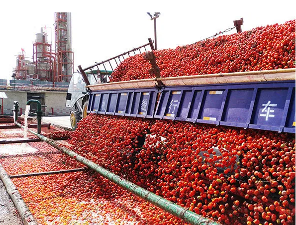注意丨美國禁止日本食品進口；日本番茄醬巨頭停止進口新疆番茄