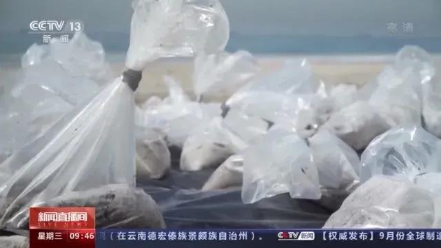 HPL箱船是“肇事者”？嚴(yán)重失職！瞞報(bào)近24小時(shí)，12小時(shí)無人阻止泄漏