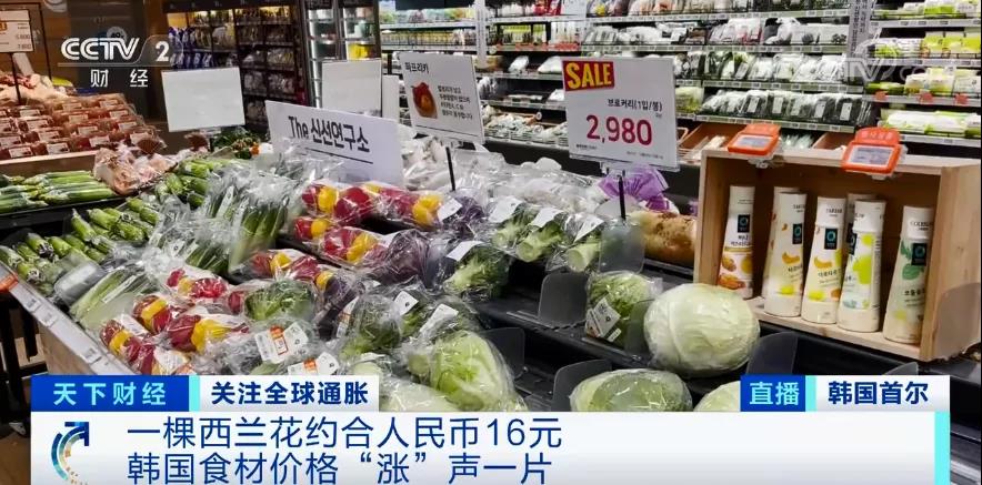 “漲”聲一片！一棵西蘭花賣到16元？