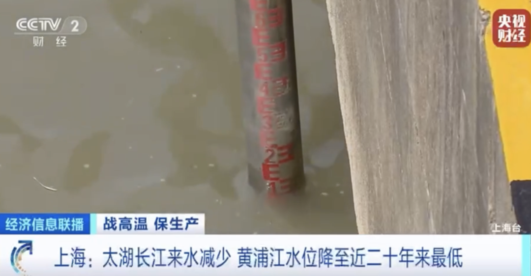 大堵船！