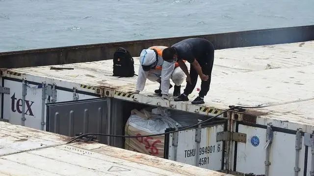 海警72小時內(nèi)查獲300余噸凍品，案值1700萬