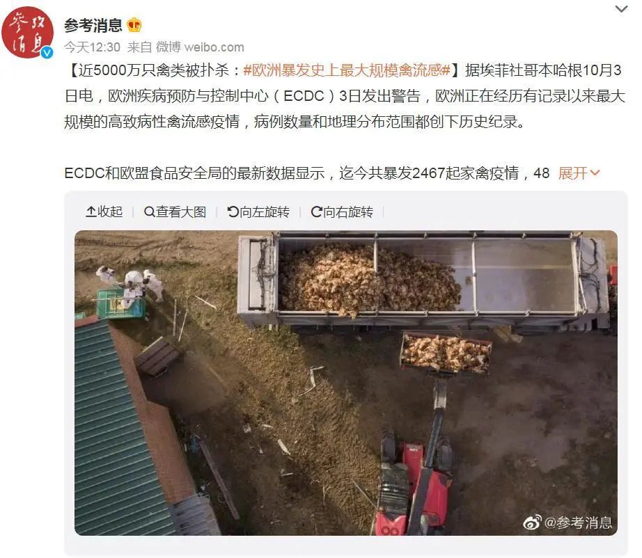 麻煩了！全球37個國家受影響