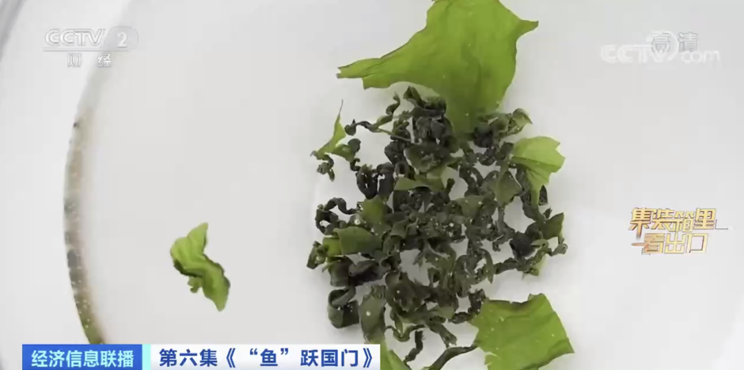 賣爆了！又一全球第一！