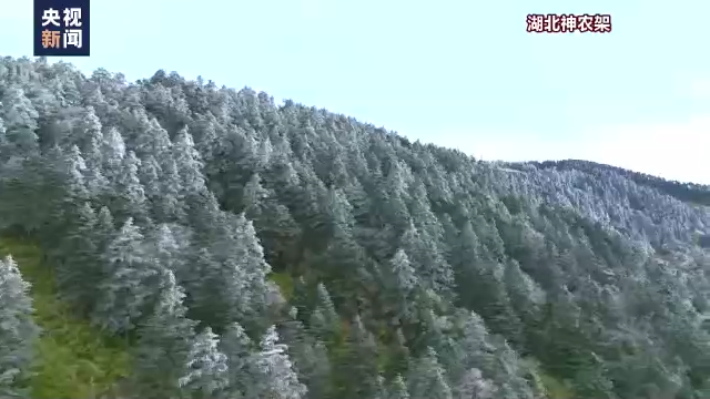 多地迎來今秋第一場雪！今年冬天會更冷？