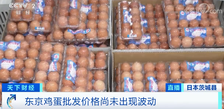 警報拉響！法國，荷蘭、西班牙、英國、日本......