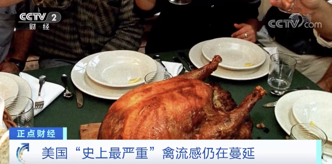 麻煩了！ “史上最嚴重”，近十個國家爆發(fā)禽流感！超過5230萬只禽類被宰殺......