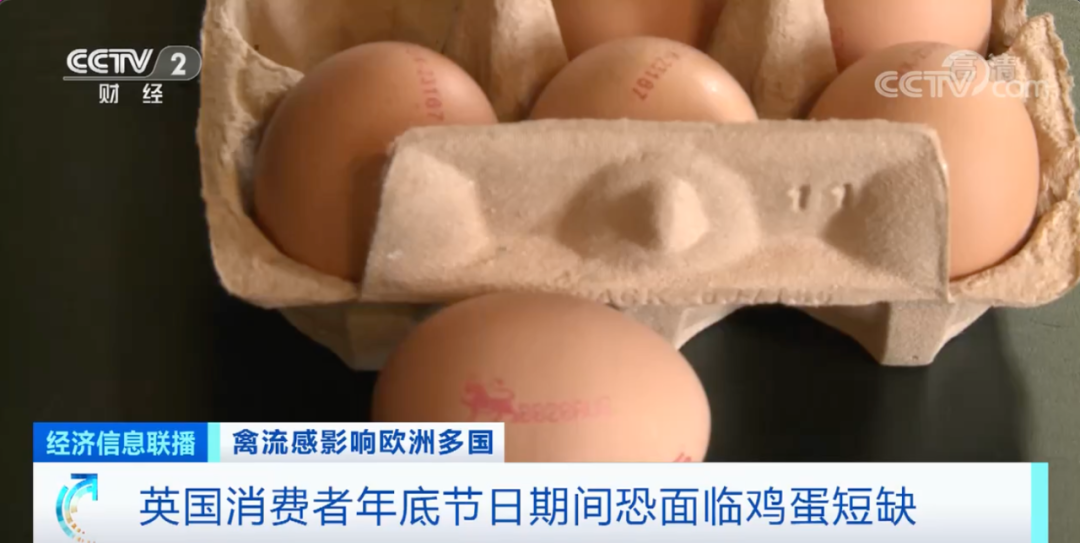 麻煩了！ “史上最嚴重”，近十個國家爆發(fā)禽流感！超過5230萬只禽類被宰殺......