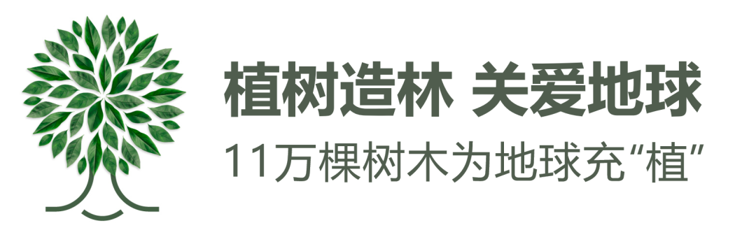 達飛將在中國植樹1.6萬棵！ 