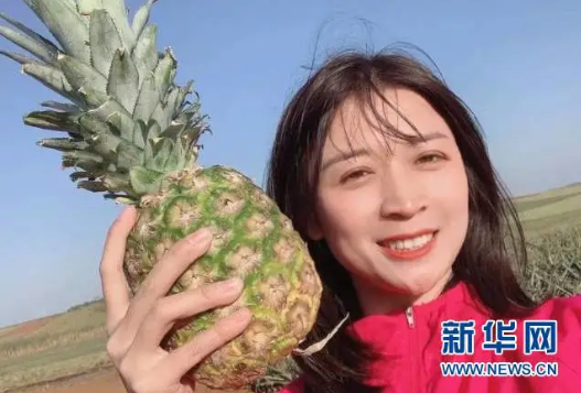 占臺(tái)灣出口總量97％！大陸緊急暫停進(jìn)口臺(tái)灣菠蘿，一菠蘿專列開通
