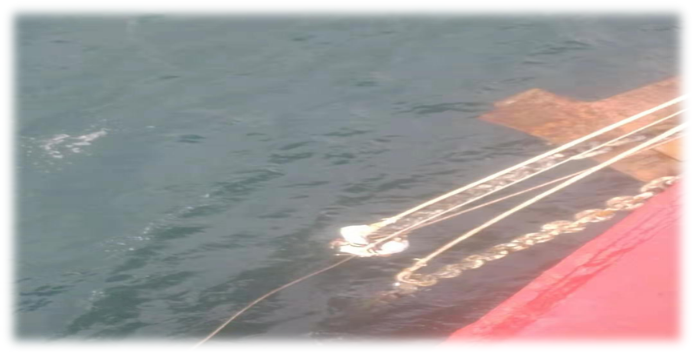 一個真實事件:優(yōu)秀的海員能為船東帶來巨大經(jīng)濟(jì)效益